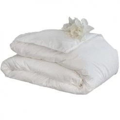 Castex Couettes Et Oreillers Bébé Et Enfant Couette Naturelle Confort En Pur Duvet 80x120 Cm