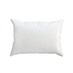 Castex Couettes Et Oreillers Bébé Et Enfant Oreiller Naturel Mi-ferme Enfant En Plumes Et Duvet 40x60 Cm